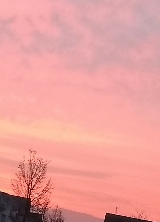 Guten Morgen