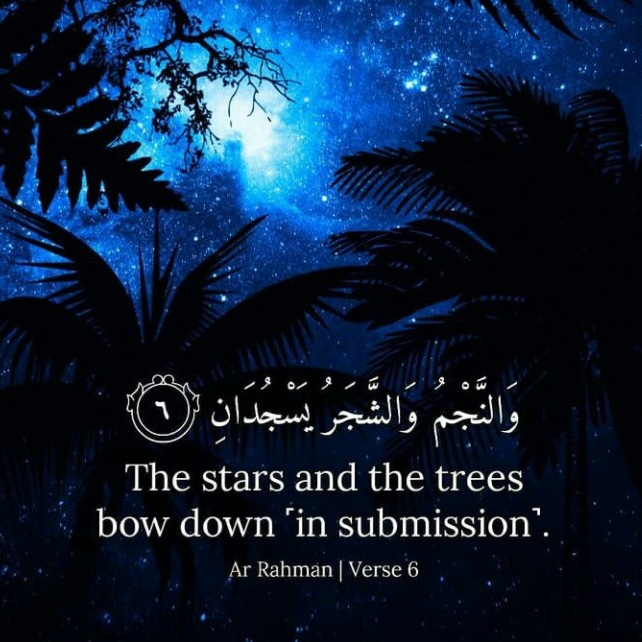 Surah Rehman