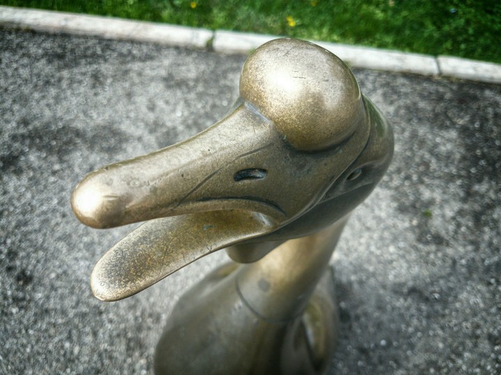 A Goose in Herăstrău Park