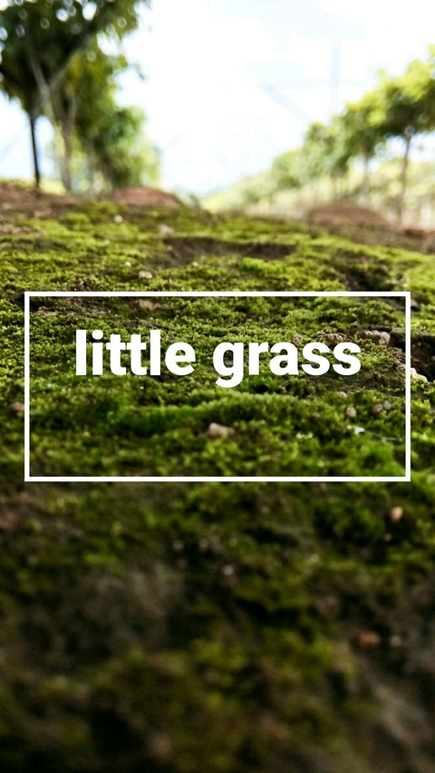 little grass