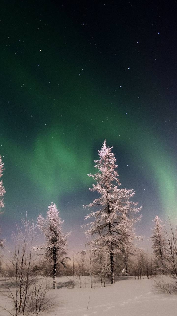 The polar lights