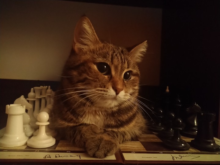 Chessmaster