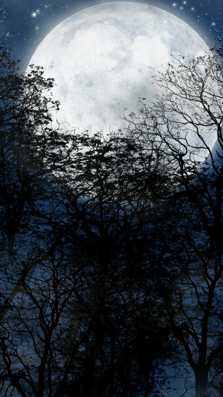 Moon