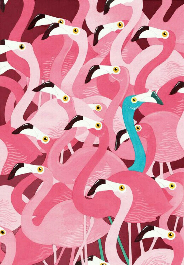 a Bule...lot of pink