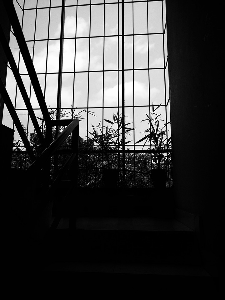 up the stairs and to the sky