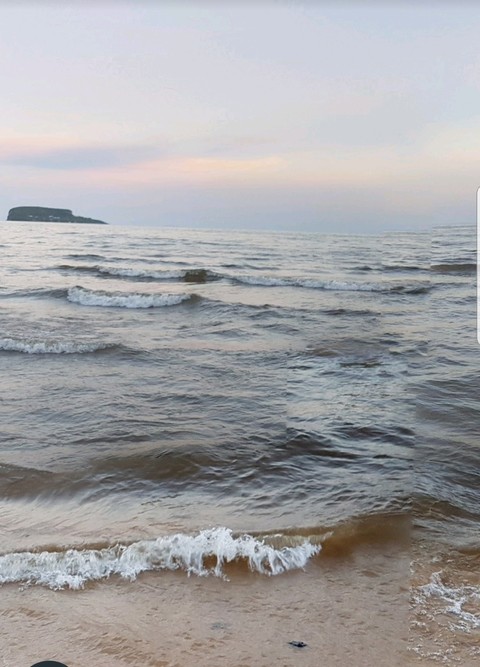 Tropical water
