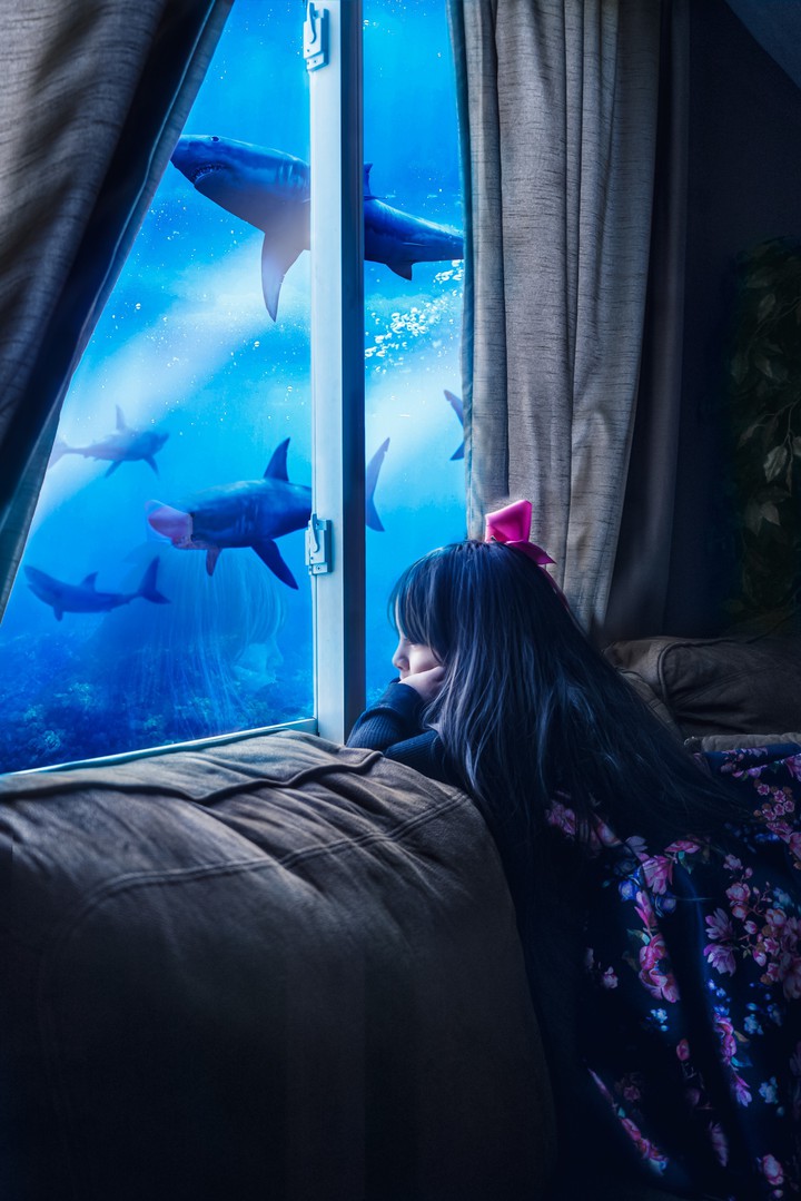 Sharks