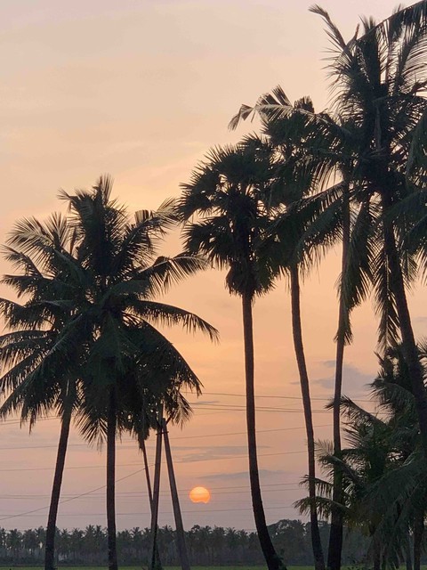 Sun set