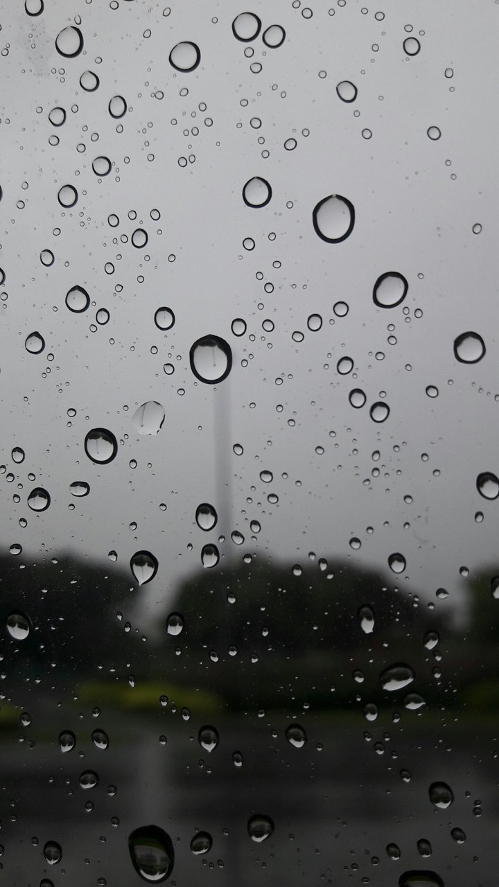 rain rain go away