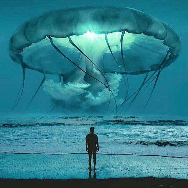 other life forms