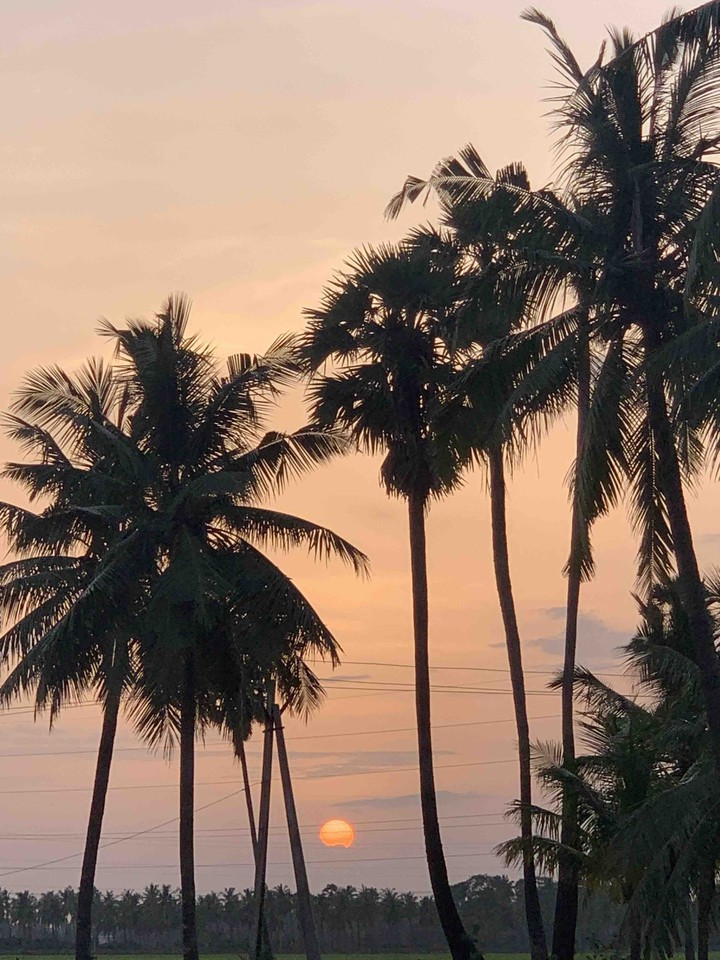 Sun set