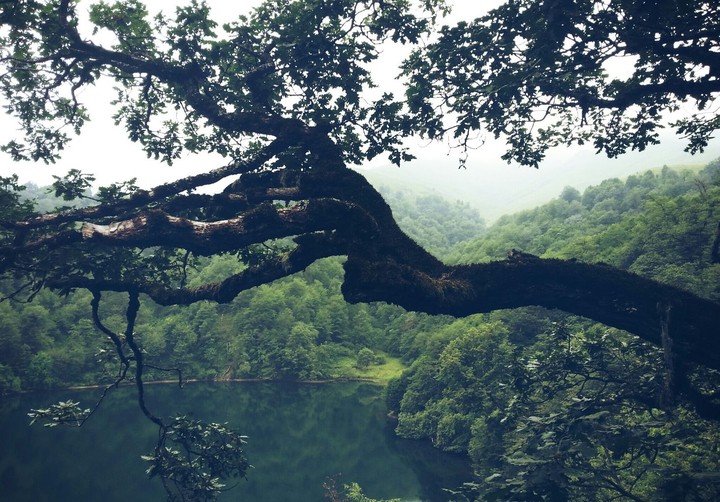 scenery