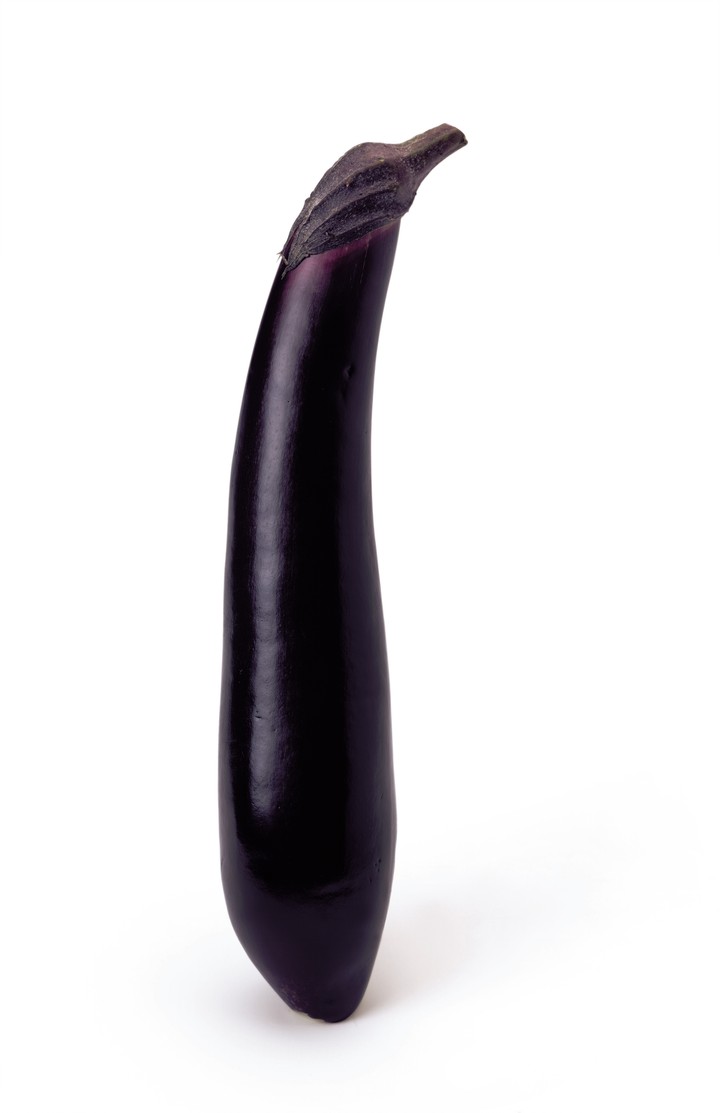 음식이미지