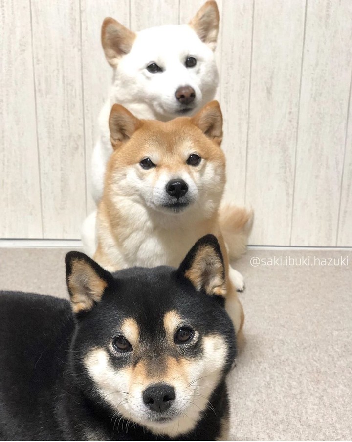 Friends color