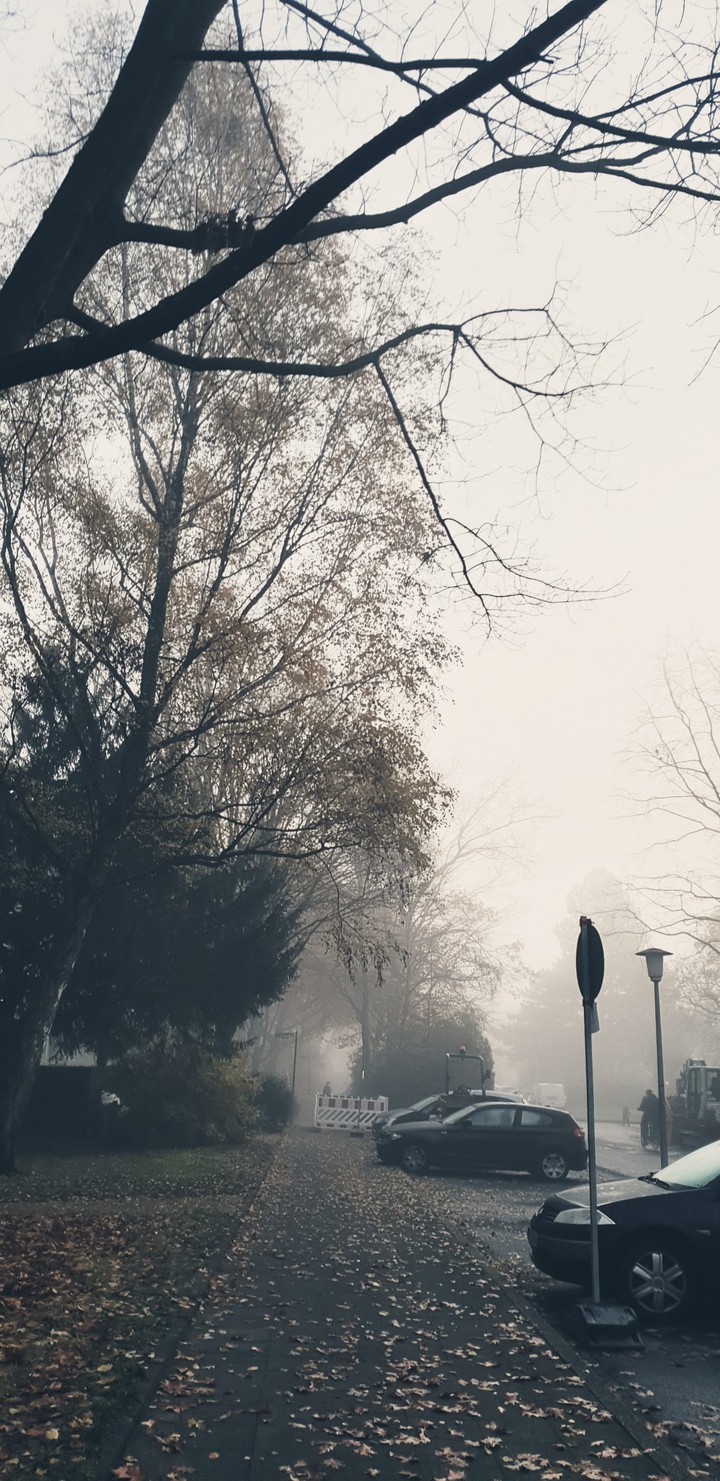 all streets are empty