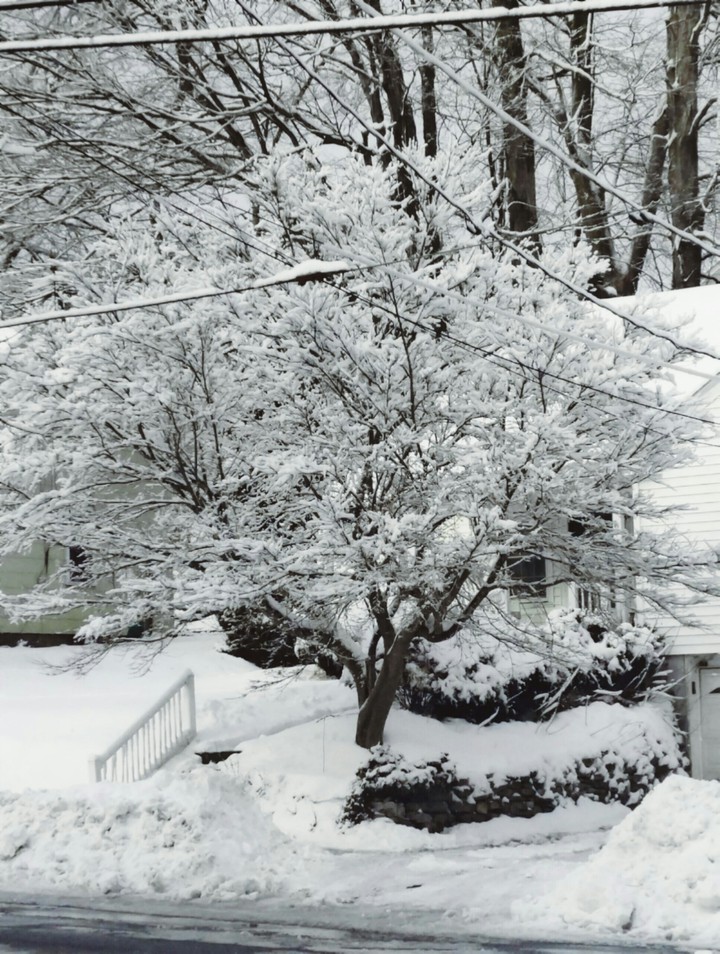 silent snow