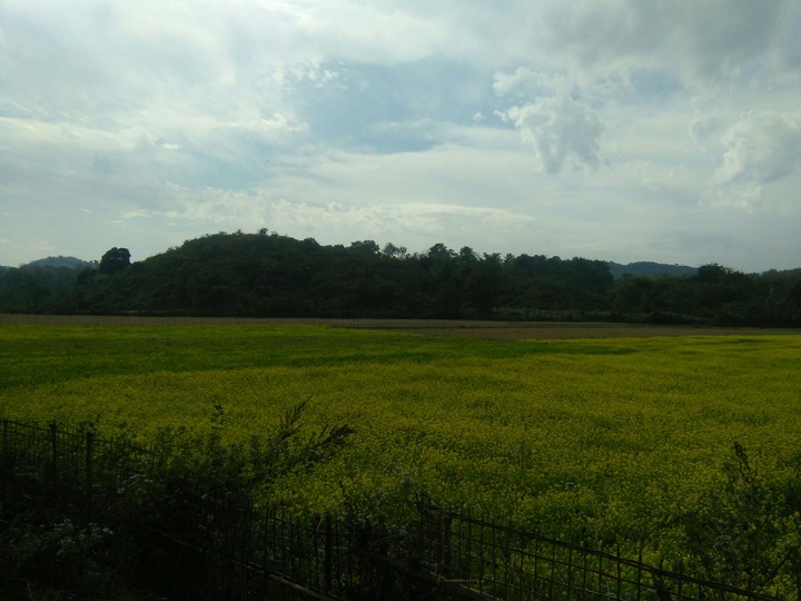Nature