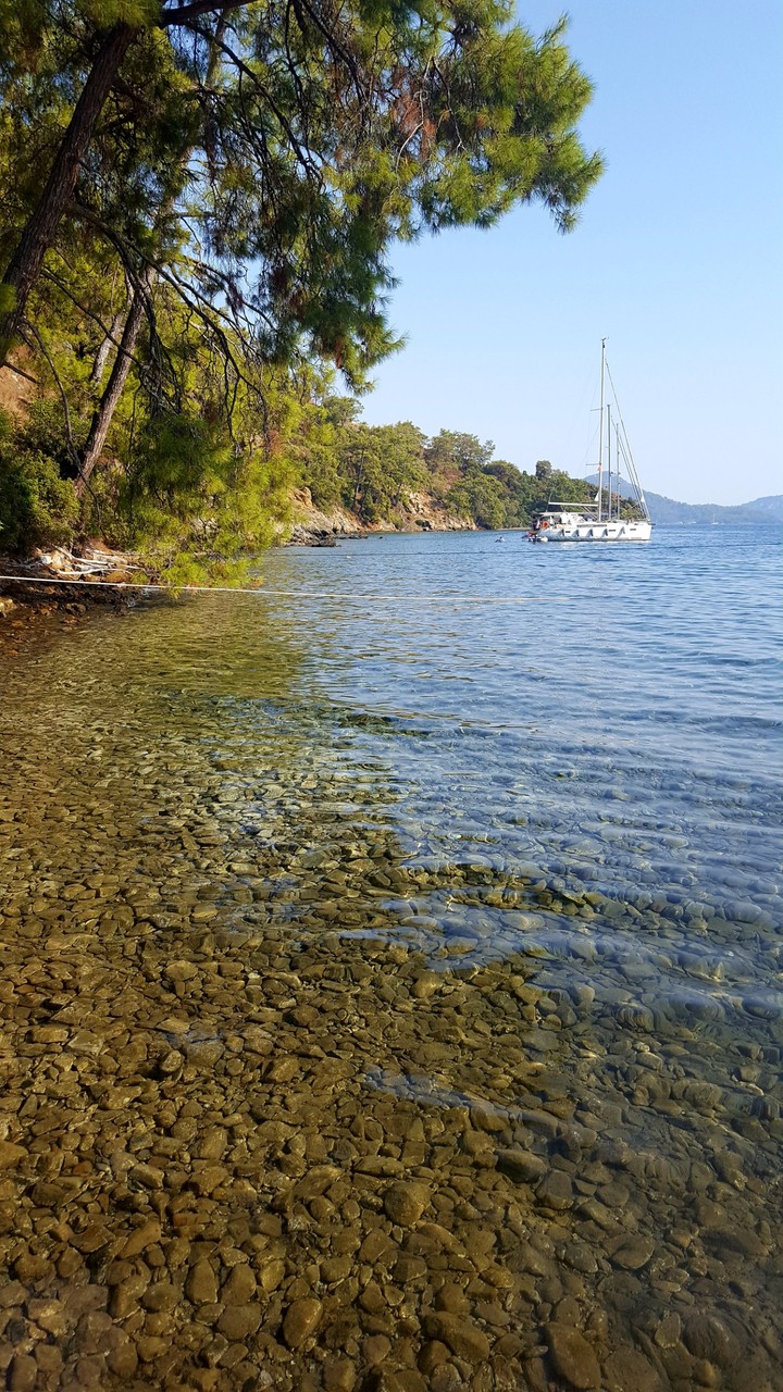 bedri rahmi koyu göcek