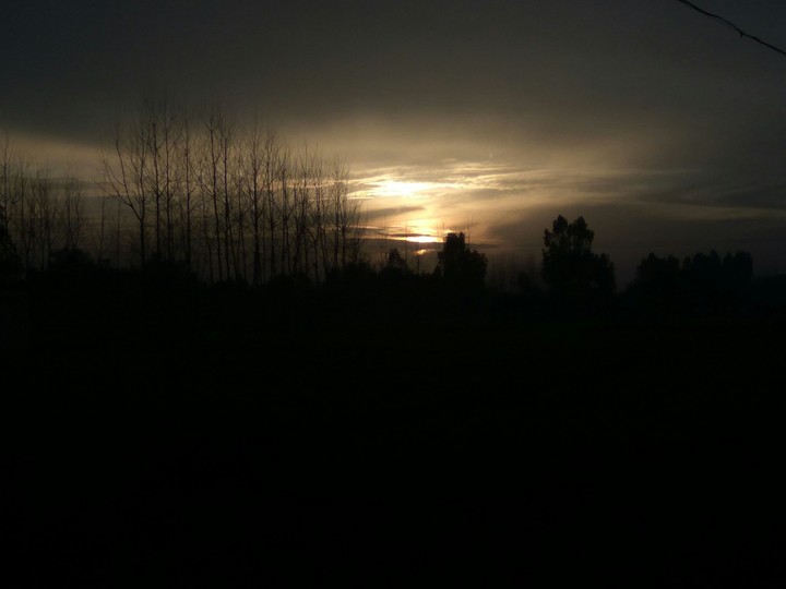 DARK SUNSET