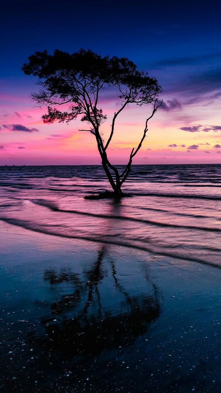 reflection