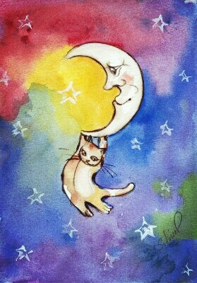 Night