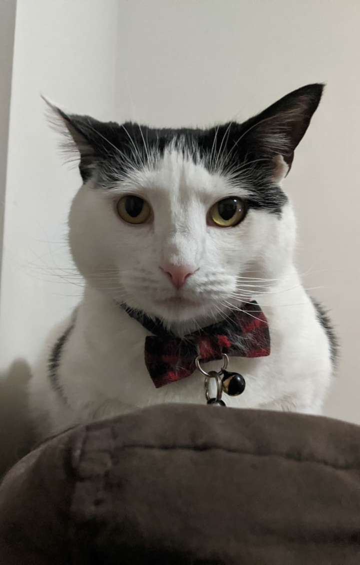 I'm sexy