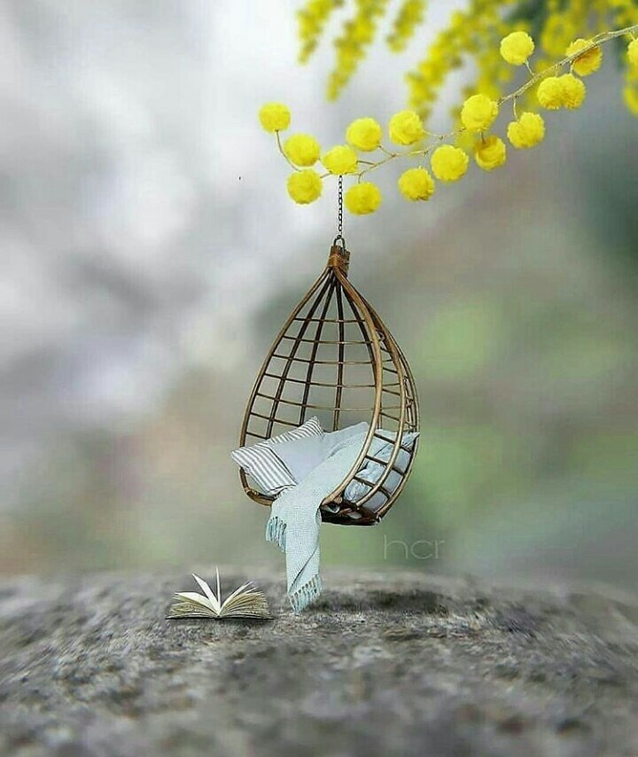lonely