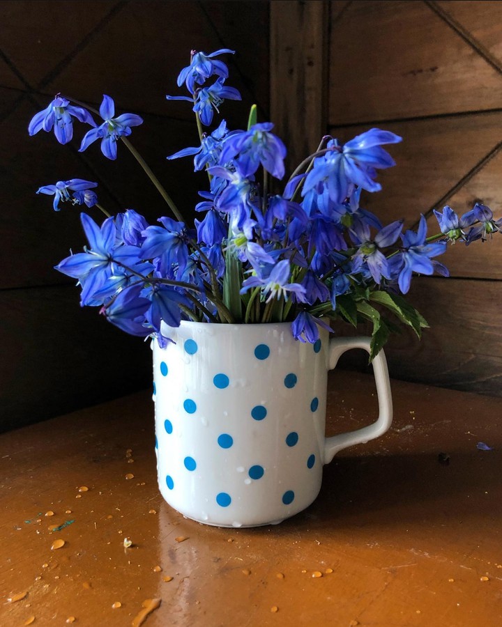 Bouquet