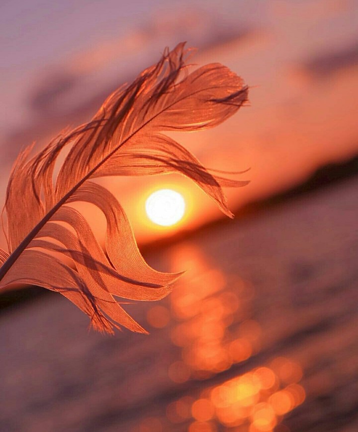 sun
