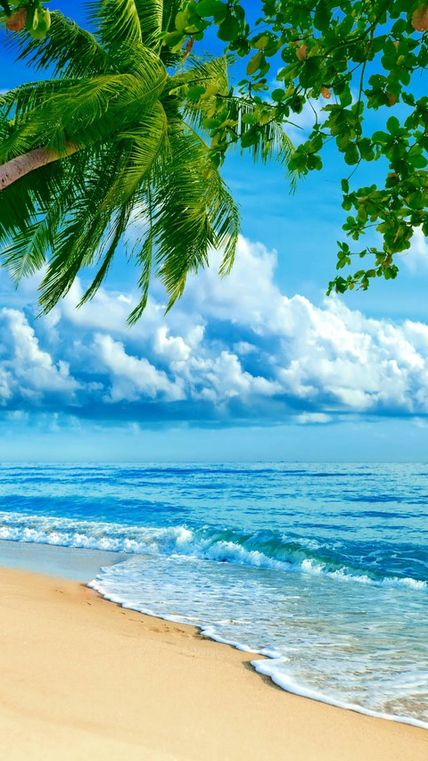 beach