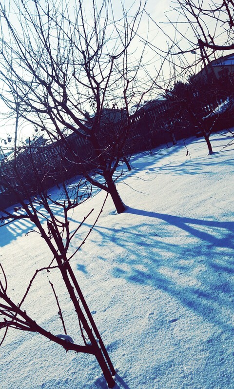 Winter