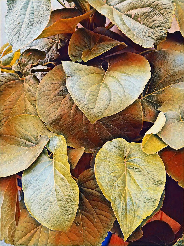 naturaleza