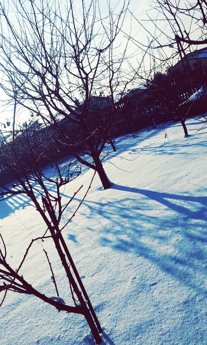 Winter