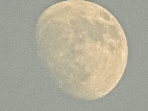Moon