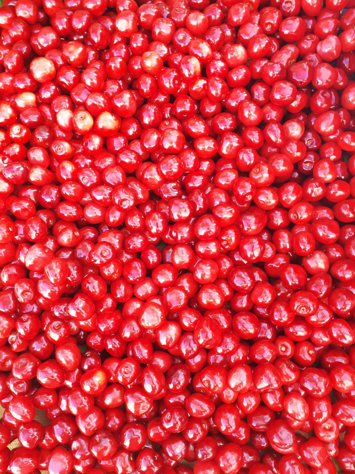 cherry