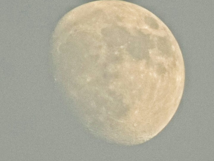 Moon
