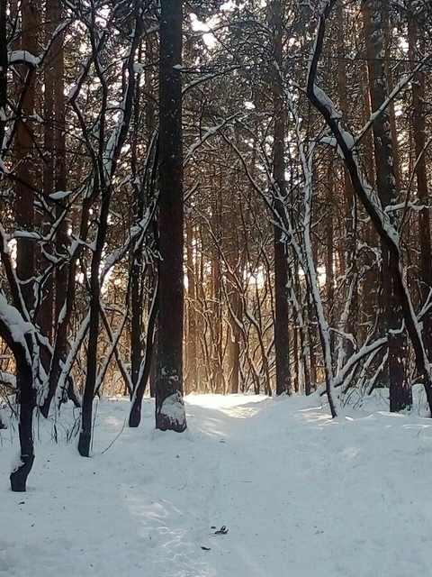 волшебный проход