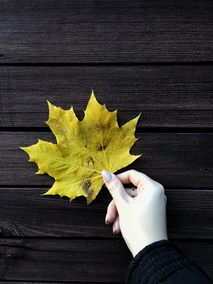 Autumn.