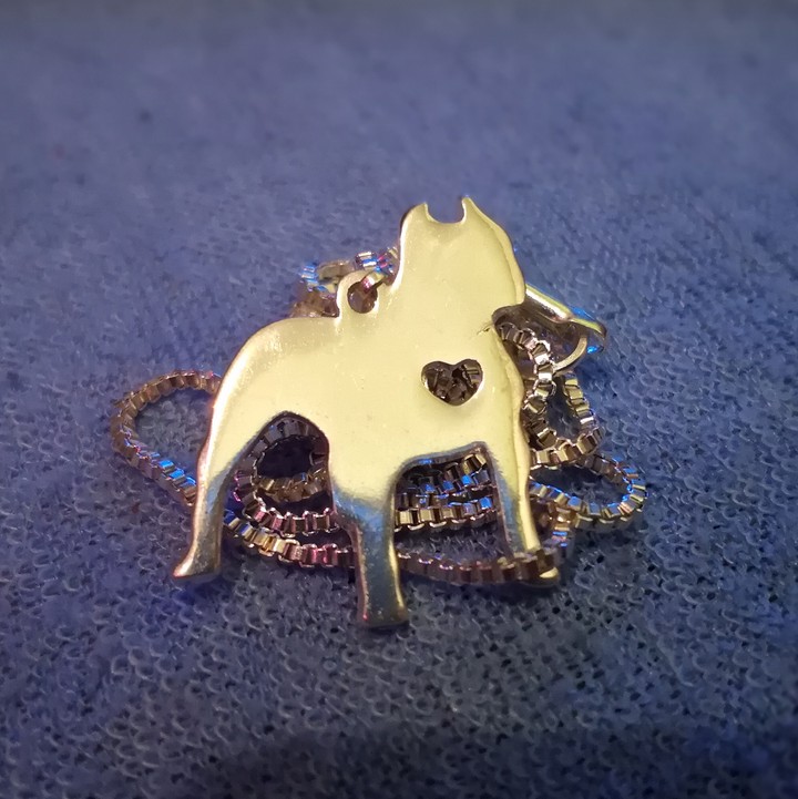 amstaff Necklace