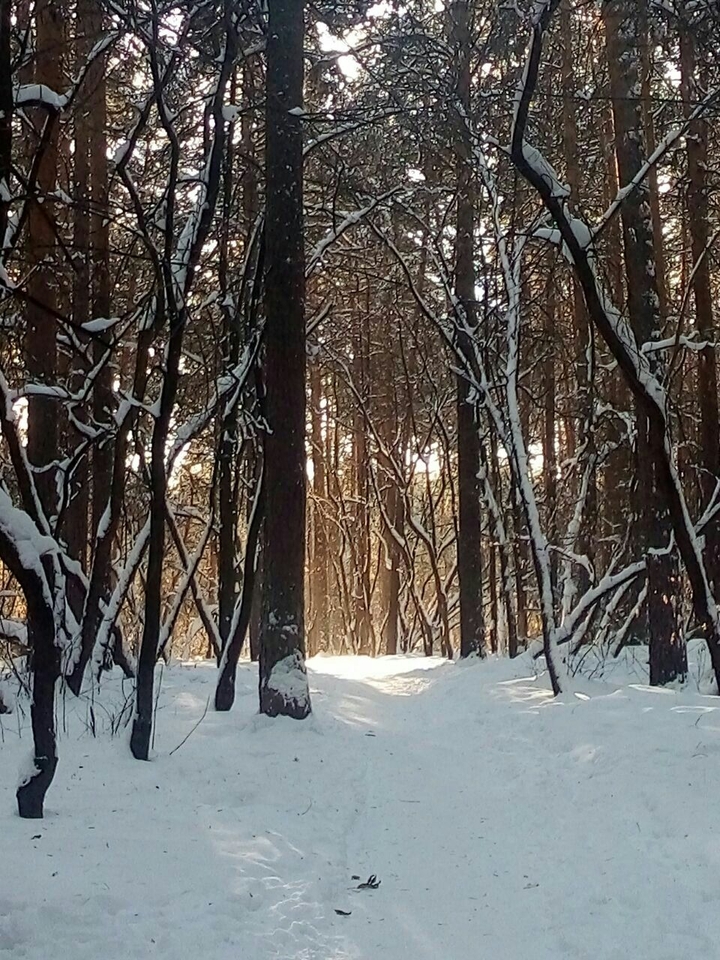 волшебный проход