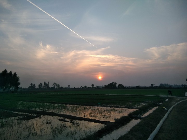 Beautiful weather sunset  Field
