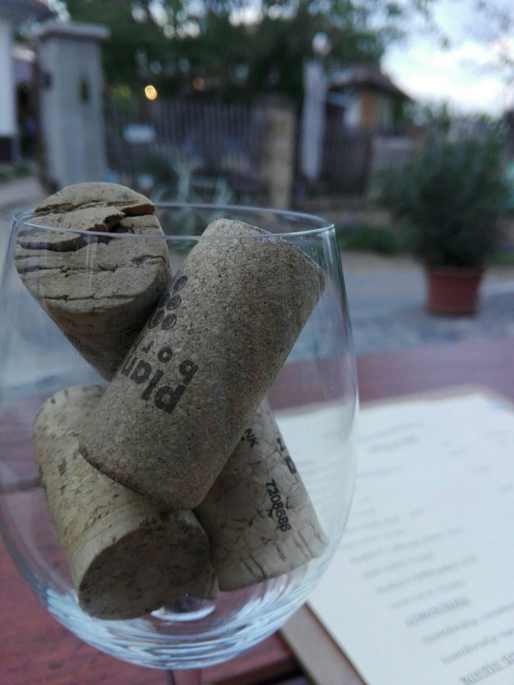 wine tasting