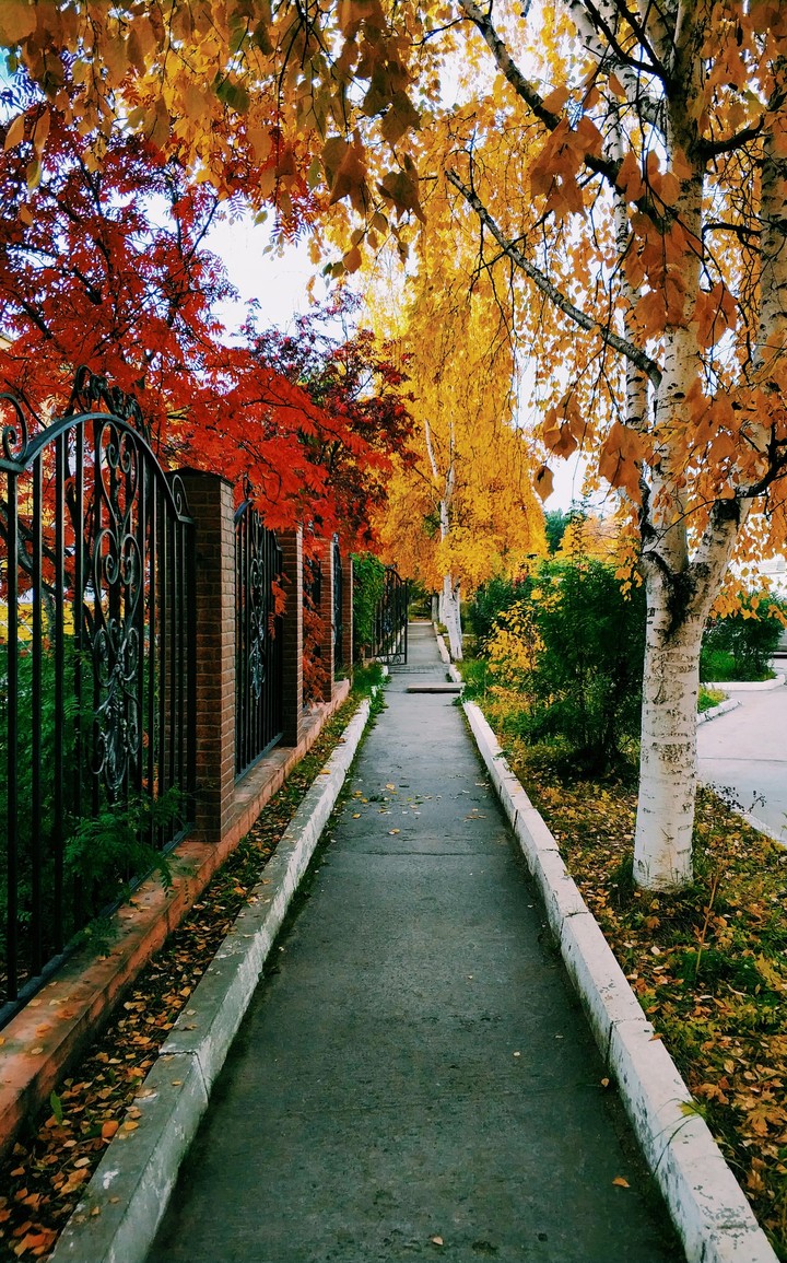 осень