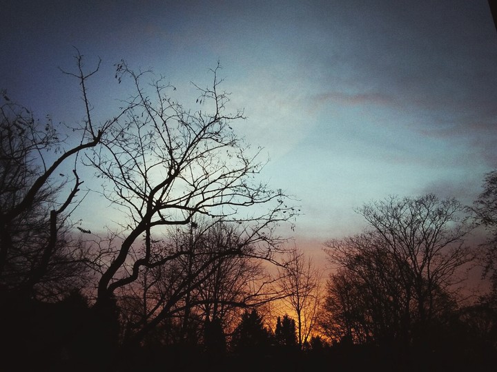Natur