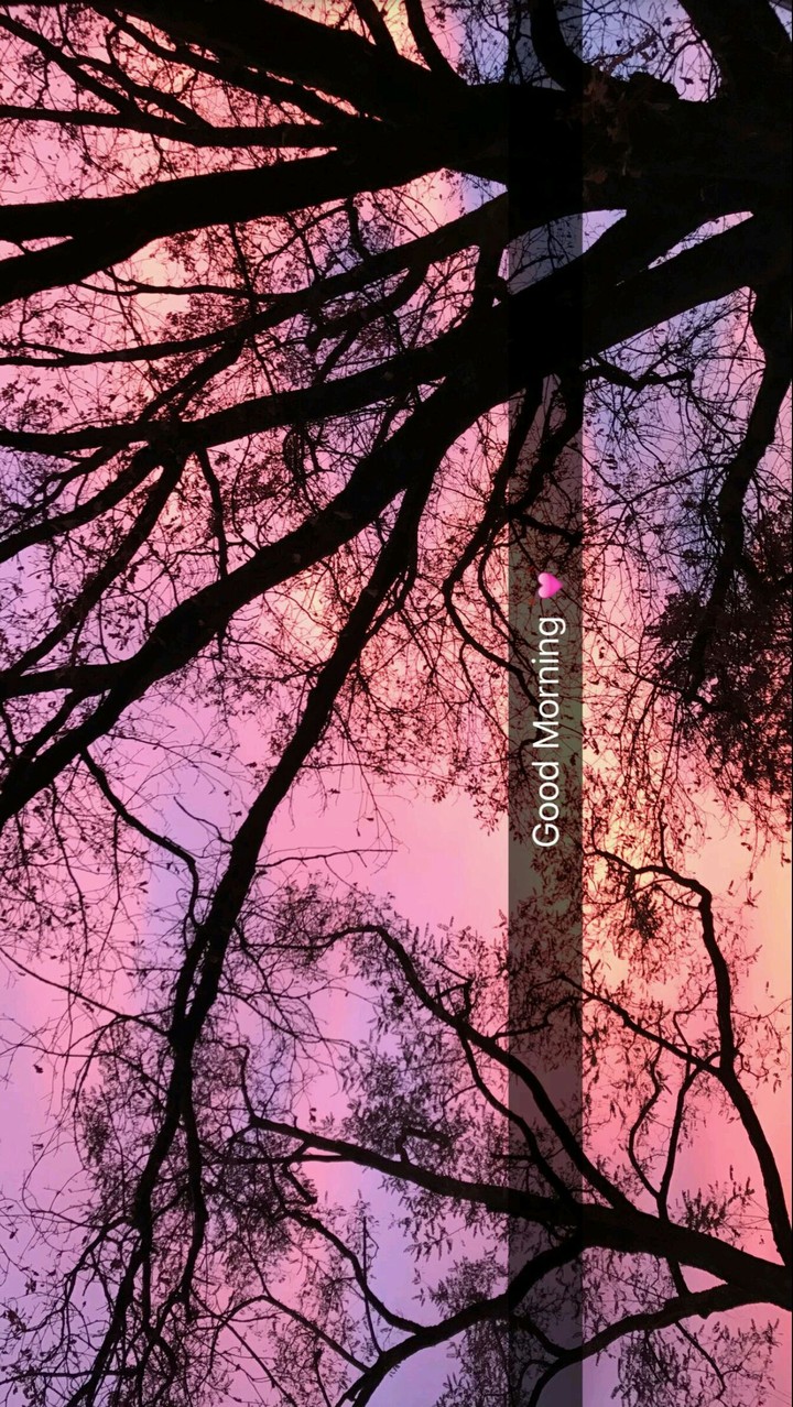 Good Morning❤