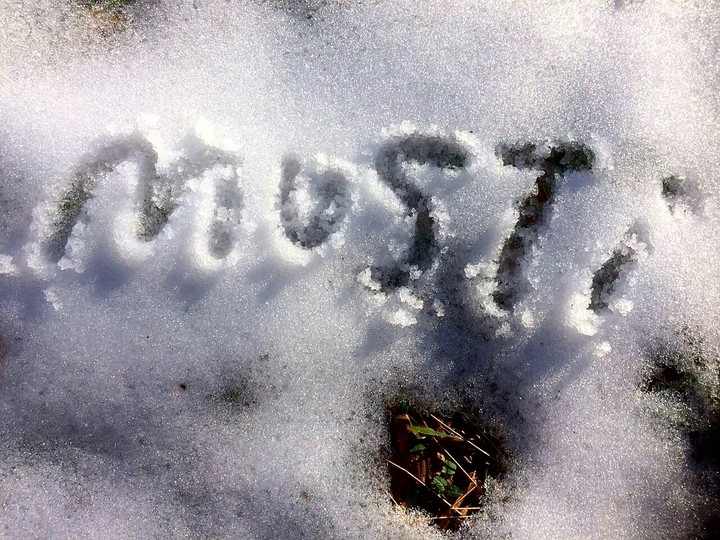 musti