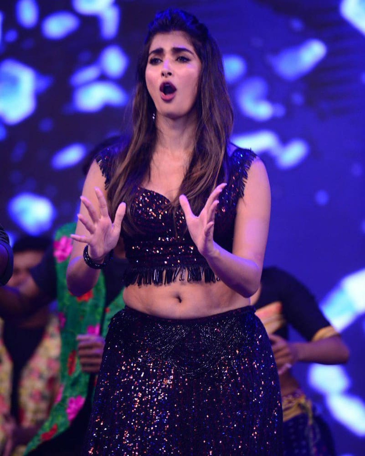 Pooja hedge