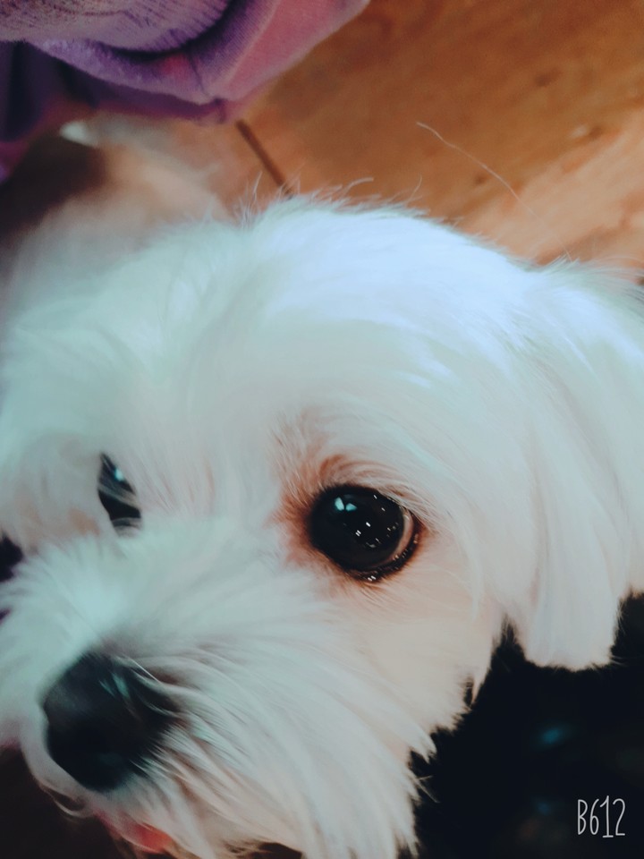 개