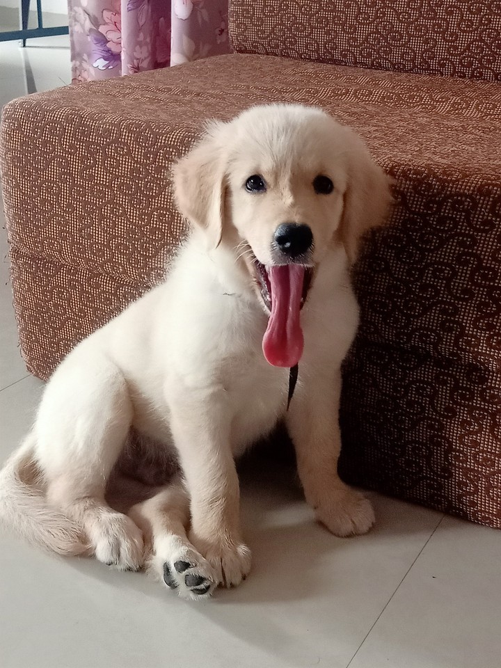 See My Tongue Mei???? I keep it soo clean. .