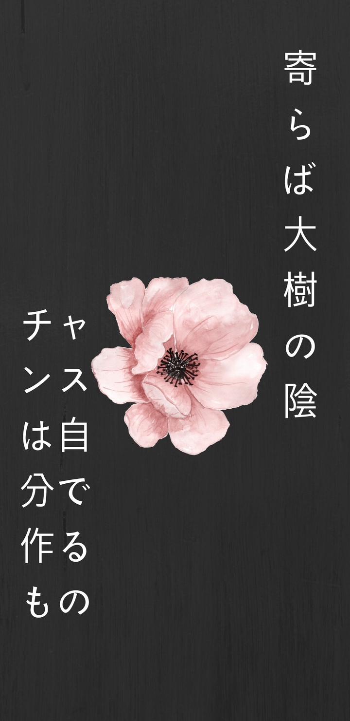 Wise words in Japanese